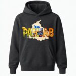 Panjabi Cultural Hoodie - Image 4